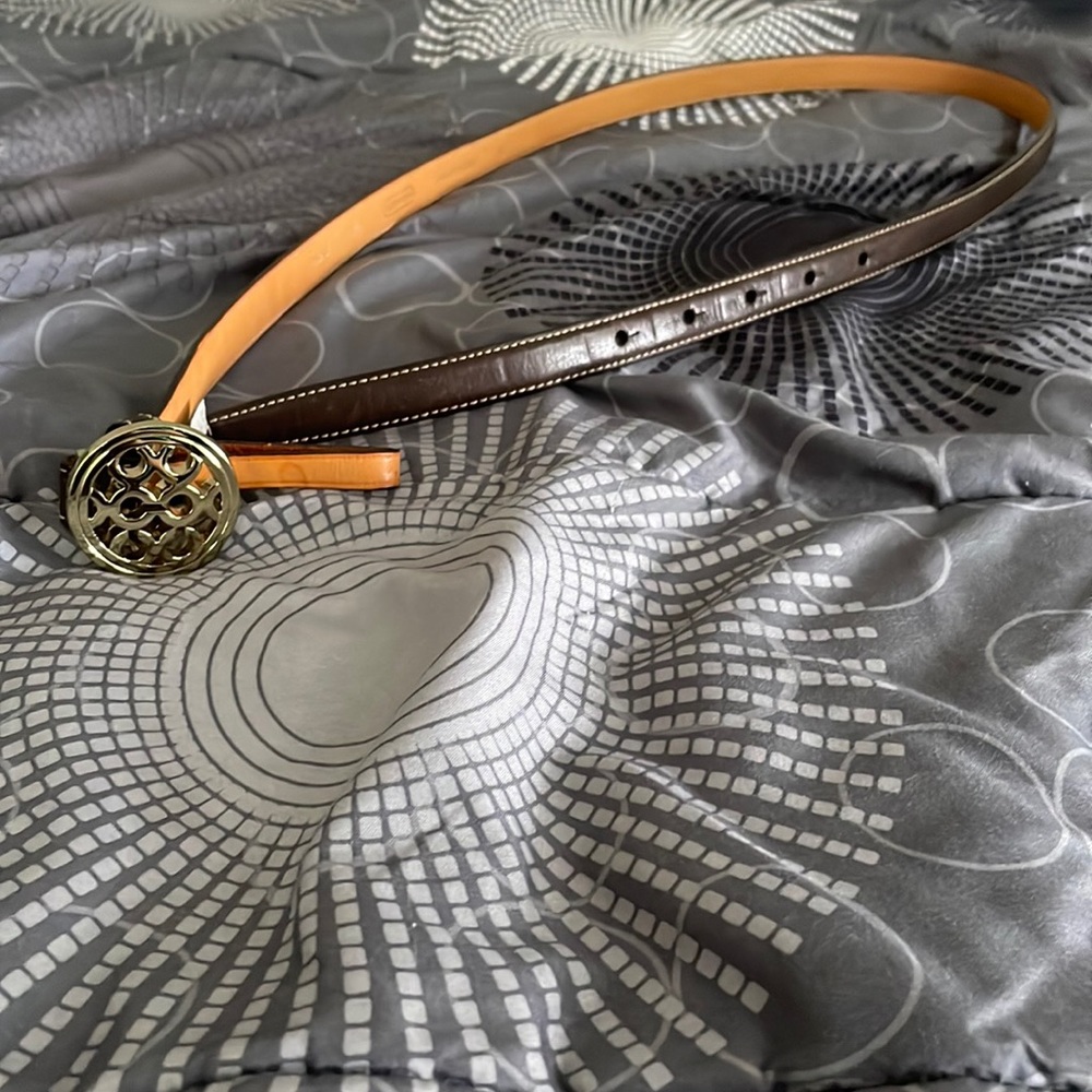 Coach belt